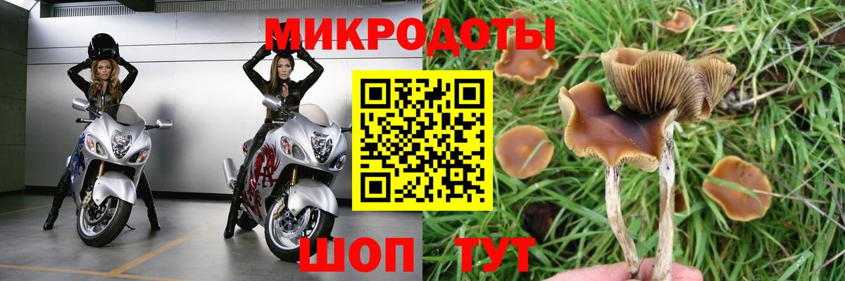 Таганрог  как найти закладки  Вход с VPN  Псилоцибиновые грибы прущие грибы 